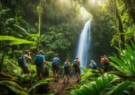 Abenteuer im Regenwald: Daintree Nationalpark erkunden